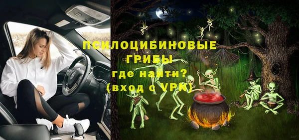гашик Белокуриха