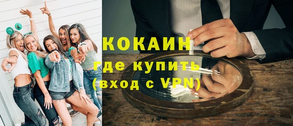 гашик Белокуриха