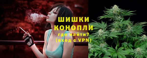гашик Белокуриха