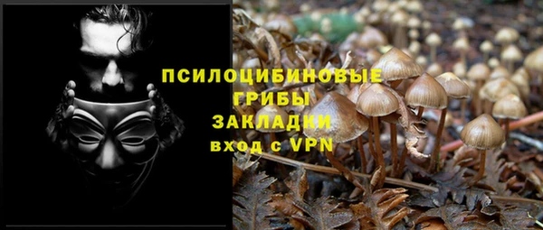 гашик Белокуриха