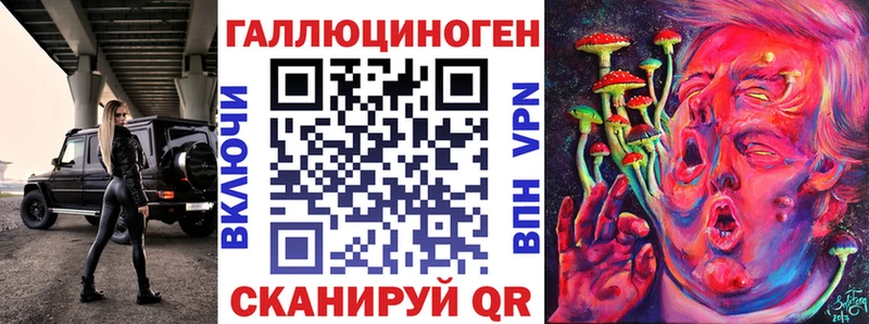 ОМГ ОМГ вход  Жуков  Галлюциногенные грибы Psilocybine cubensis 